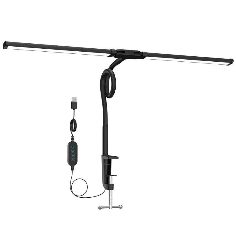 Double Headed Learning Desk Lamp With Mount