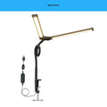 Double Headed Learning Desk Lamp With Mount