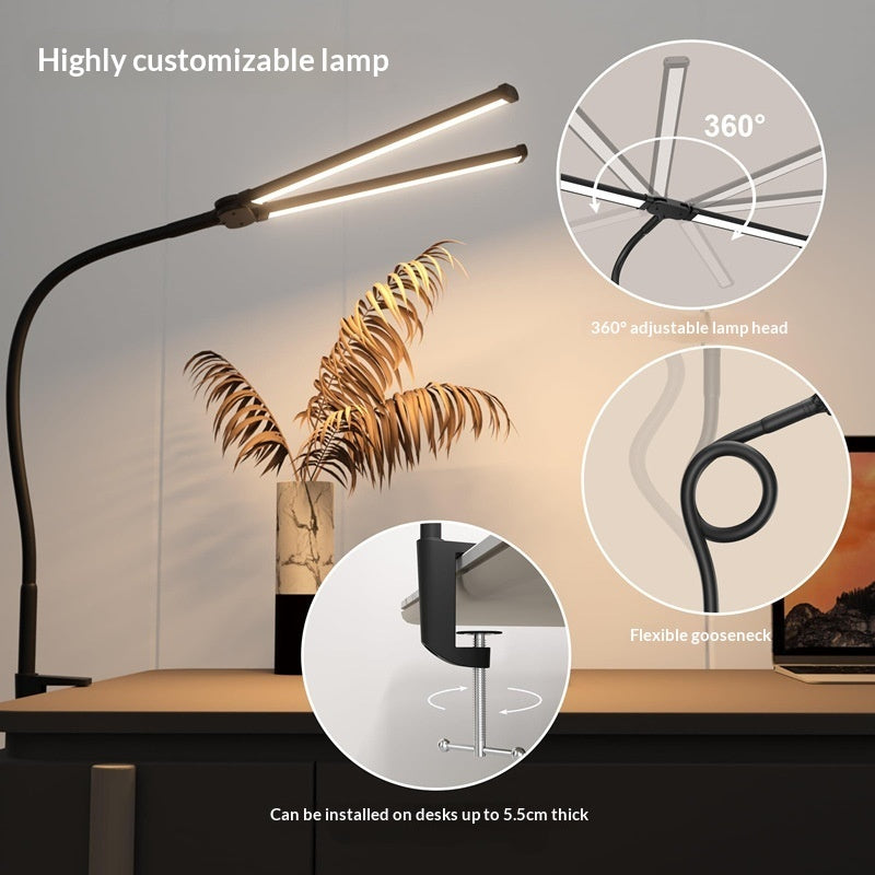 Double Headed Learning Desk Lamp With Mount